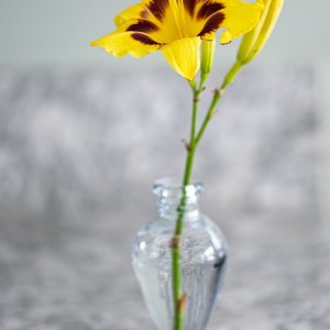 127A7255.jpg