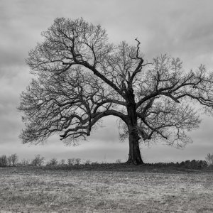 5X2A9337-Edit.jpg