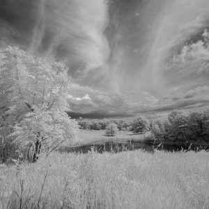 Clearing Storm_13A5033.jpg