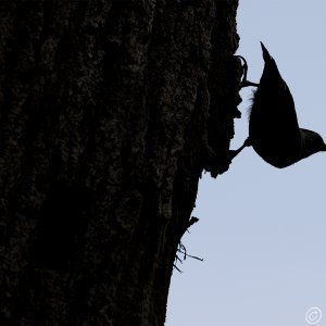 Media 'R515_2407.jpg' in category 'Still Life, B&W and Experimental'