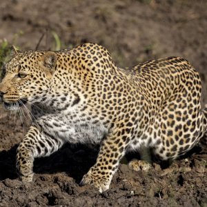 Kenya (149).jpg