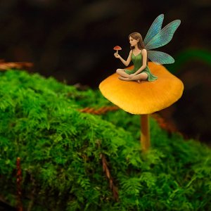 shroom and fairy.jpg