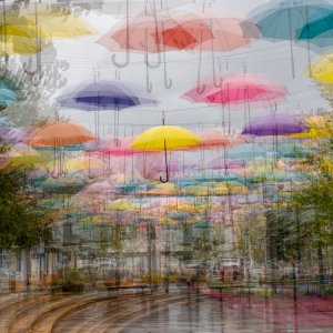 Sept 30-25 (1 of 1)-5.JPG