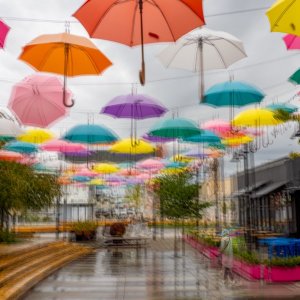 Sept 30-25 (1 of 1)-4.JPG