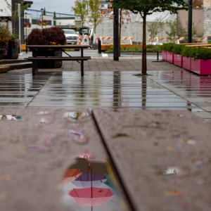 Sept 30-25 (1 of 1)-6.JPG