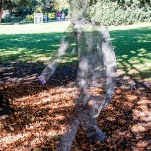  Monday Sept 2025-33.jpg