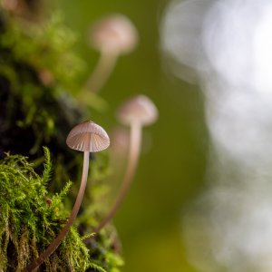 Oct 30-24 (11 of 13).JPG