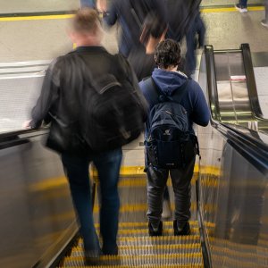 Oct 14-25 (7 of 100).JPG