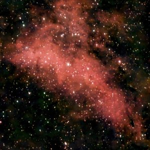 S50 IC1318 butterfly 20251122-Edit-1.jpg