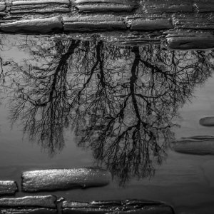 Media '1I5A7323.jpg' in category 'Still Life, B&W and Experimental'