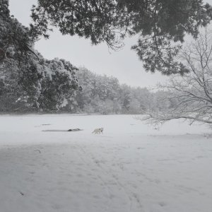 Still 2026-01-03 131558_1.10.1.jpg