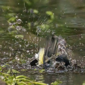 CyclePath05Jan26_9554 copy.jpg