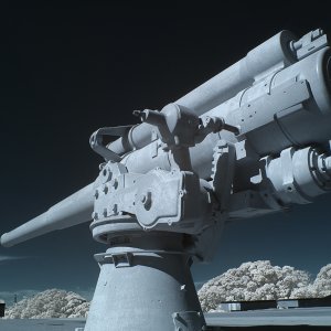 Media 'IMG_6493-1300.jpg' in category 'Still Life, B&W and Experimental'