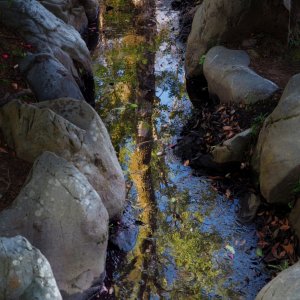 Media '1000049903.jpg' in category 'Special Techniques and Creative Effects'