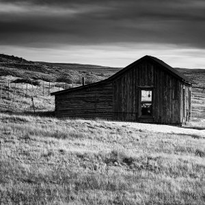 Media 'FOPr South Park_080 Grad  -2.JPG' in category 'Nature and Landscapes'