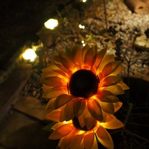 Media '1000050073.jpg' in category 'Nature and Landscapes'