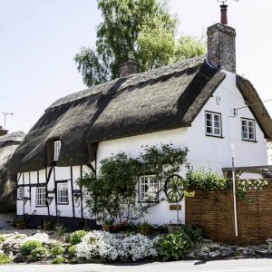 untitled (2678 of 3938).jpg