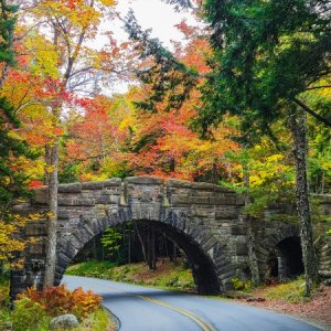 20221010_110326-1b web.jpg