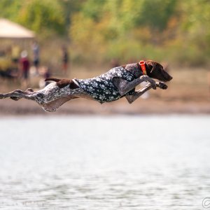 Media '50D8_9293-2025.jpg' in category 'Pets'