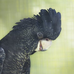 _WP_6499-DxO_DeepPRIME XD2s-Edit.jpg