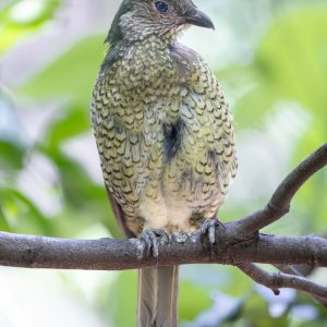 _WP_6606-DxO_DeepPRIME XD2s-Edit.jpg