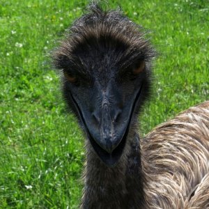 Media 'IMG_6922.jpg' in category 'Games and Competitions'