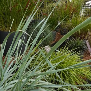 Media 'DSC01445.JPG' in category 'Games and Competitions'