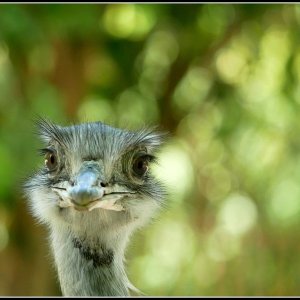 P1450047 Nandou 1.jpg