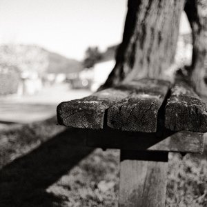 DSCF1494 TM.jpg