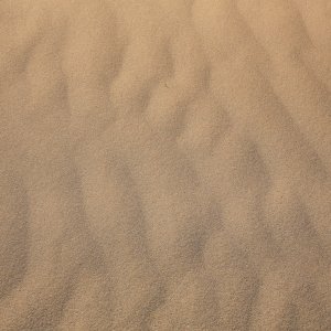 _MGL1650-WEB$.jpg