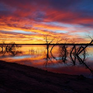 Media 'FB003.JPG' in category 'Nature and Landscapes'