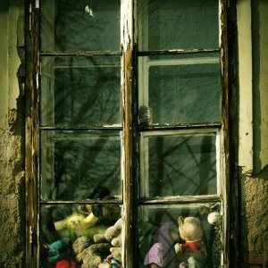 Media 'The window.jpg' in category 'Architecture, Real Estate and Buildings'