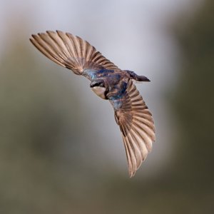 IMG_6857.jpg